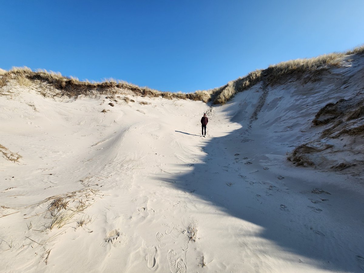 Ben Griffis tweet media