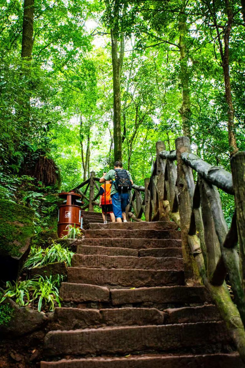 David Vickriandi tweet media