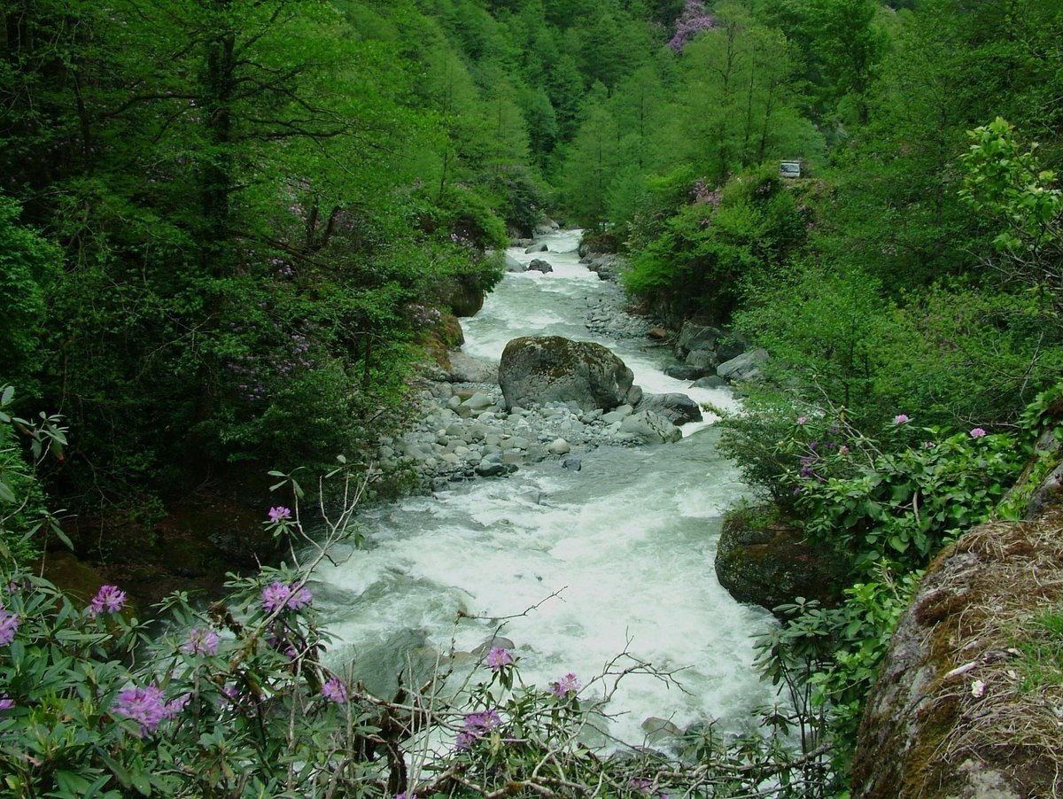 Oğuz Kurdoğlu tweet media