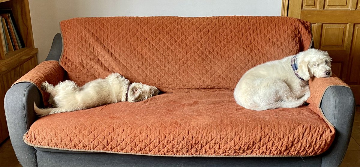 Alejandro Juárez #DiálogoCivilMilitar tweet media