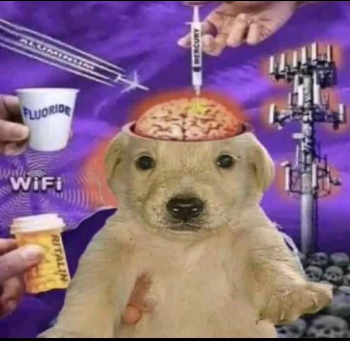 SuperVerse tweet media