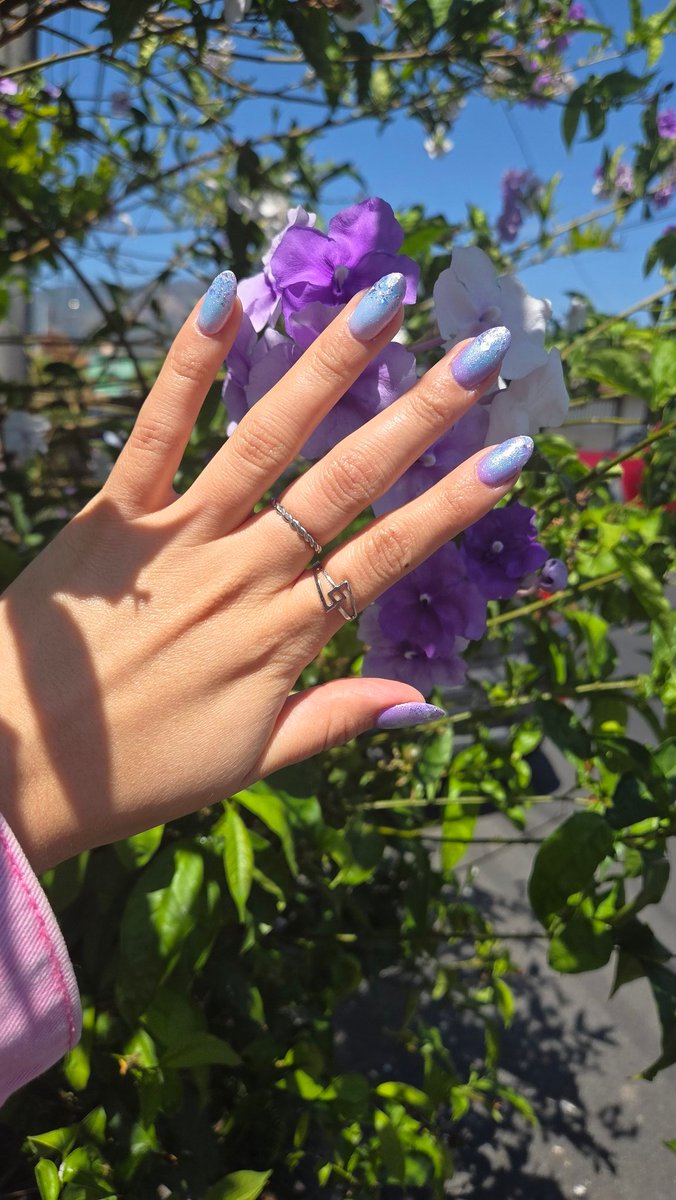 Mandy 🪻🐱 tweet media