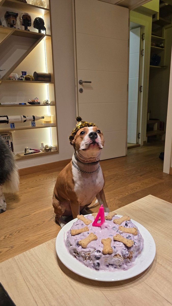 Najlepšićeva tweet media