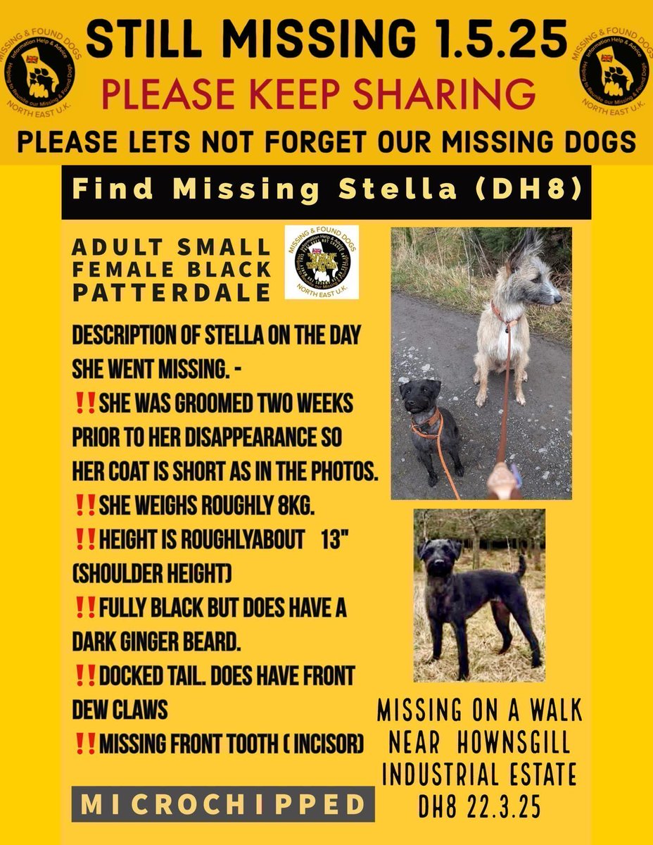 LisaLisaw1's tweet image. HAVE YOU SEEN STELLA ? 

Stella #Patterdale #missing 22-3-25 8:30am fields near #Hownsgill #Consett #CountyDurham 
#microchipped 

#stolendoghour