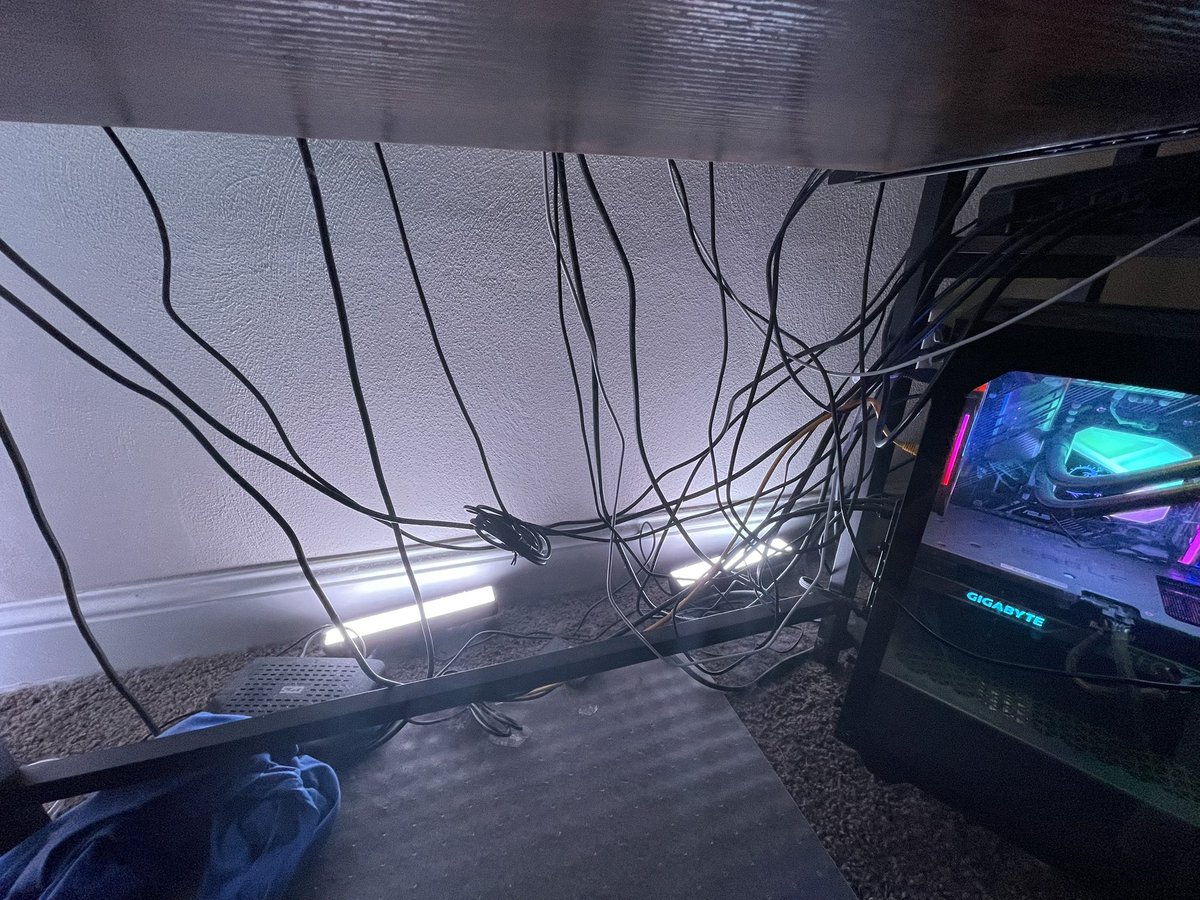 Angora 🐉🌌【VPrisma】 tweet media