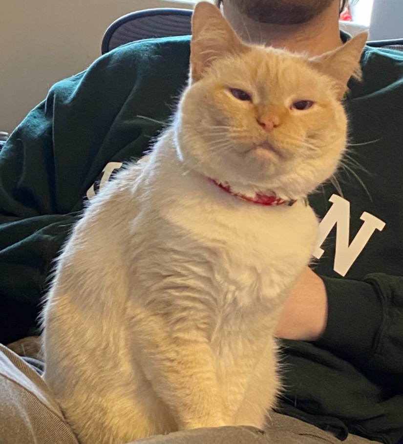 amy, esq. tweet media