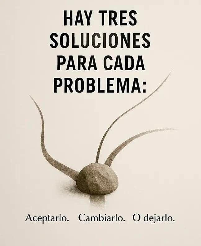 CC Alma (si Soy ) 11 tweet media