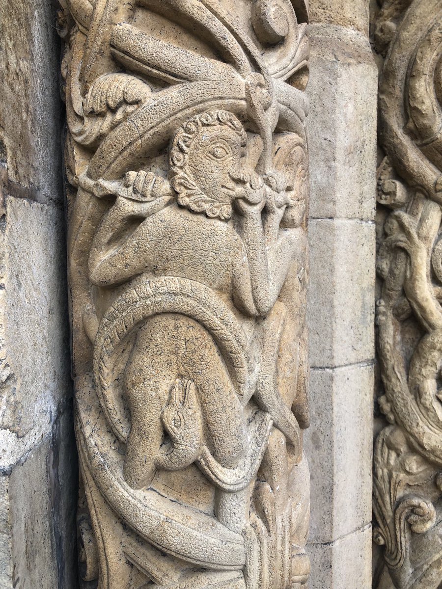 Carol Atherton tweet media