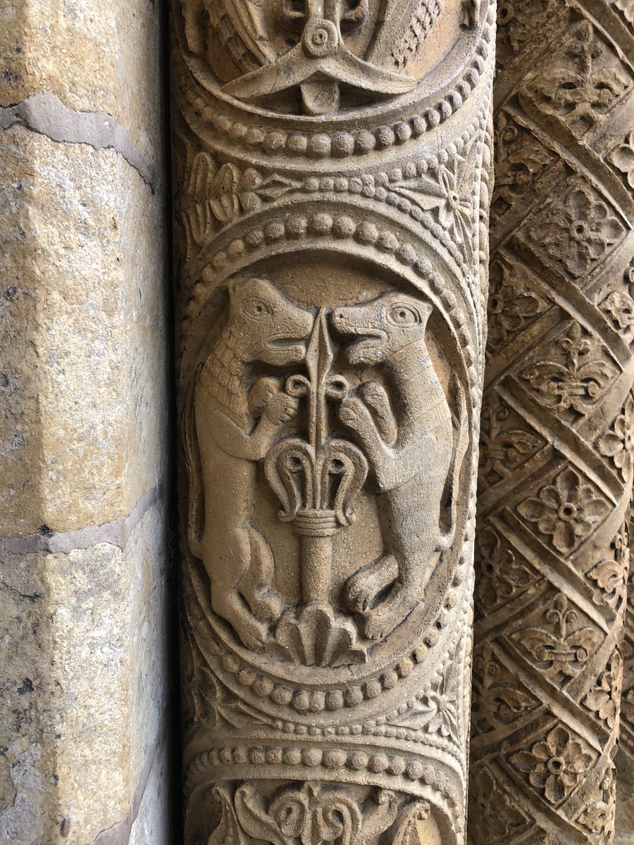 Carol Atherton tweet media