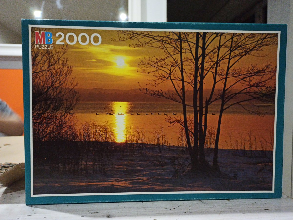 Tulipano80 tweet media