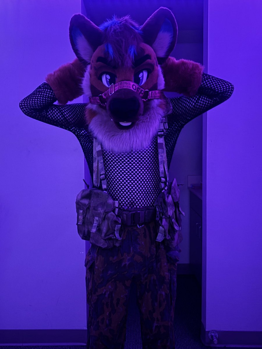 Ryker🐾🔜FWA tweet media