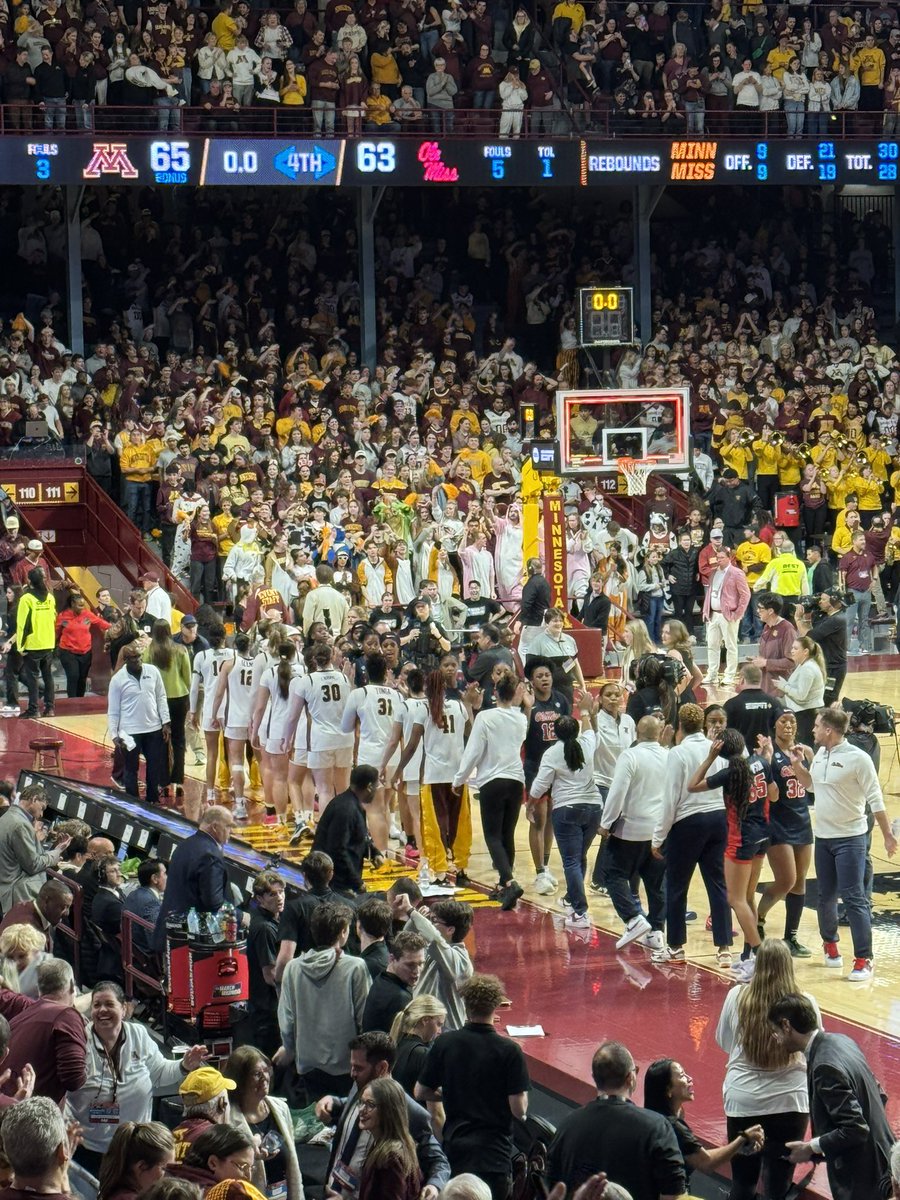 Gopherated〽️ tweet media