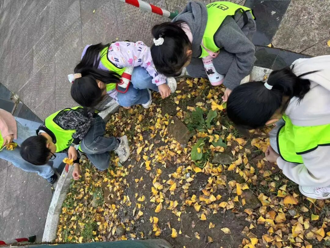 cici pinot tweet media