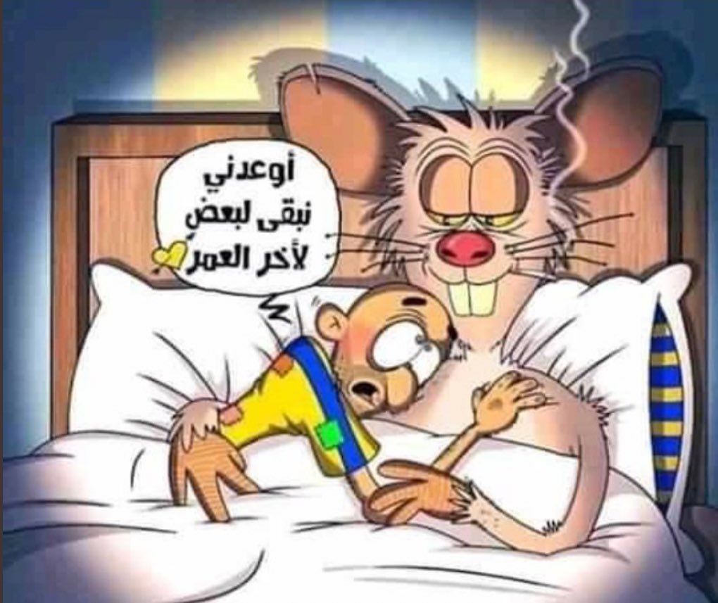 بو تميم (71🏆🥈) tweet media