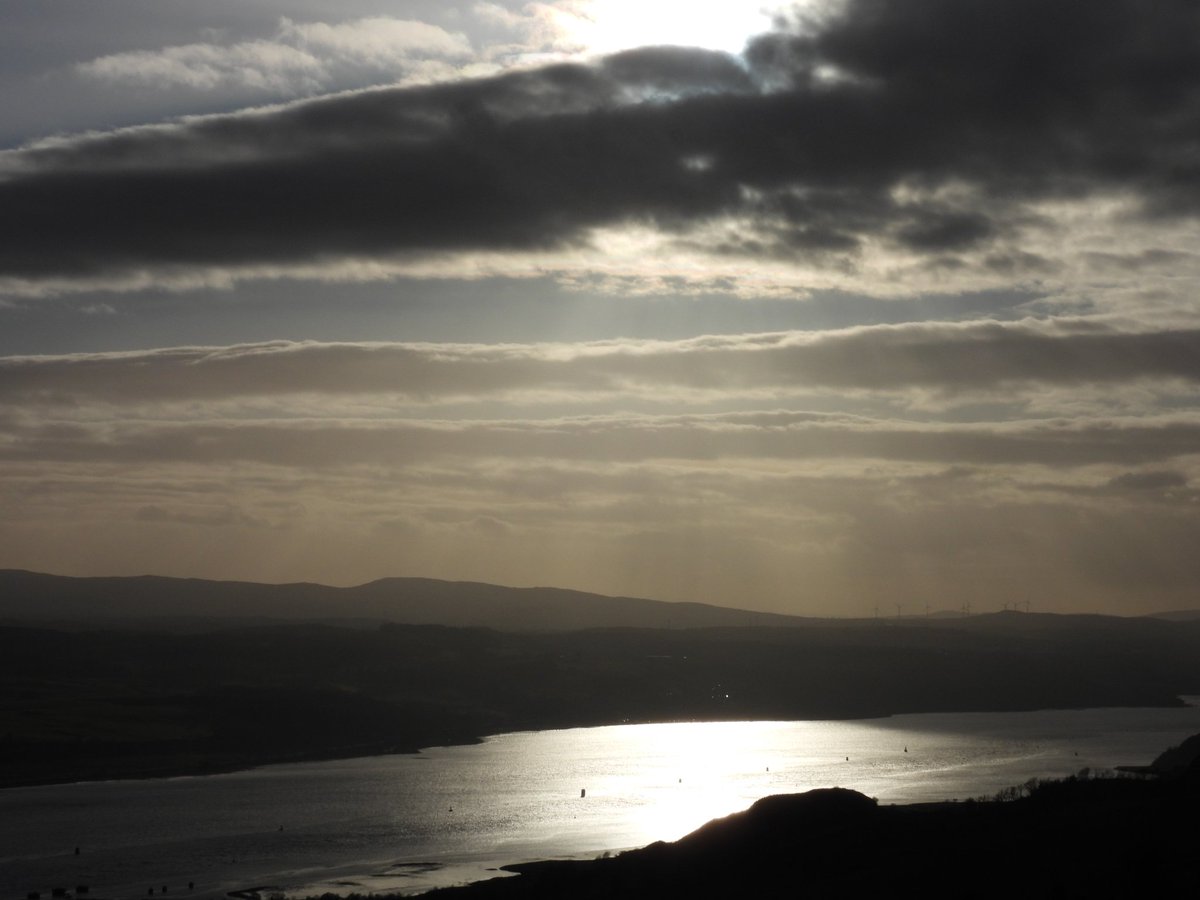 Ellie 🌲🌼🦜 tweet media