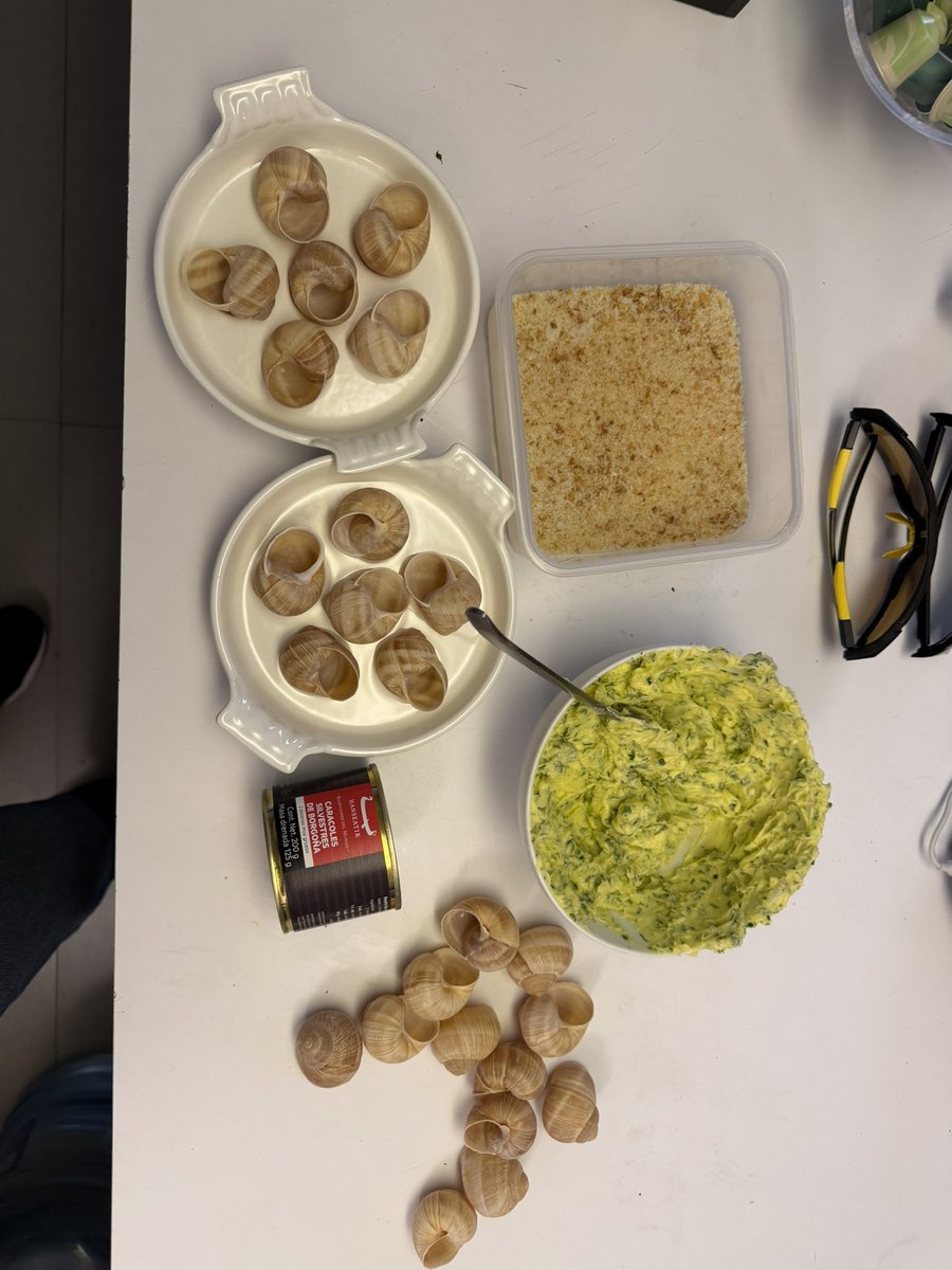 Rafael Formento tweet media