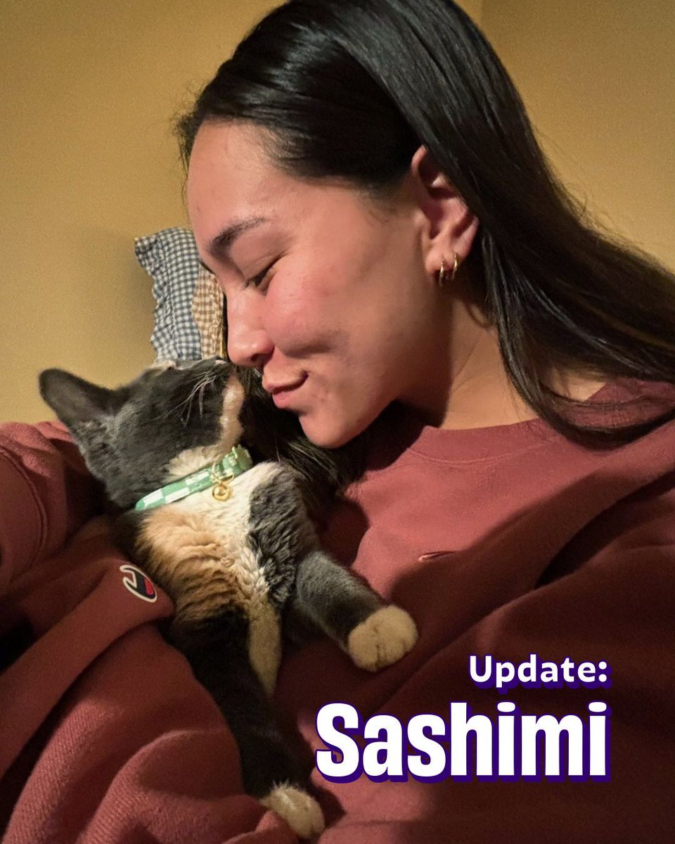 Joybound People & Pets tweet media