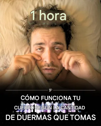 Como funciona tu cuerpo según la cantidad de horas que duermas:

Hilo🧵