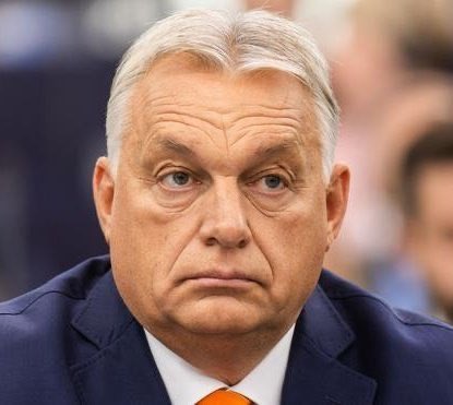 @dessere88fenice tweet media