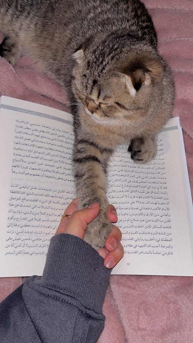 2usc_'s tweet photo. 📖🐾 https://t.co/hFZBR6FjqW