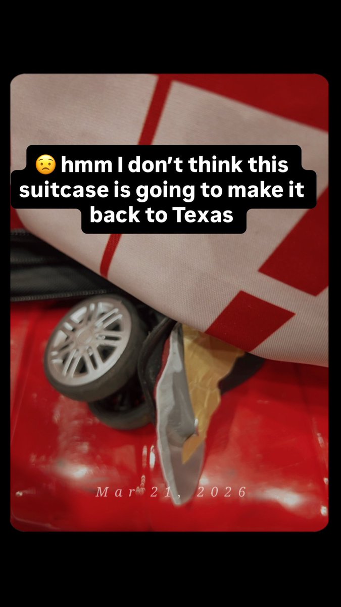 🦝🎐🍃 Onicake tweet media