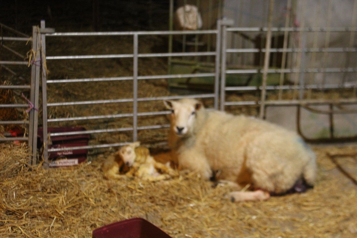 Emyr Lyn tweet media