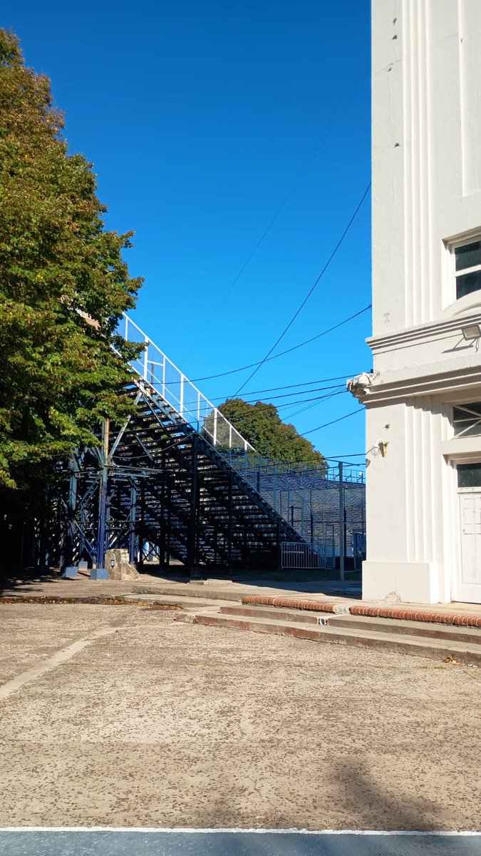 Brasil Tripero tweet media