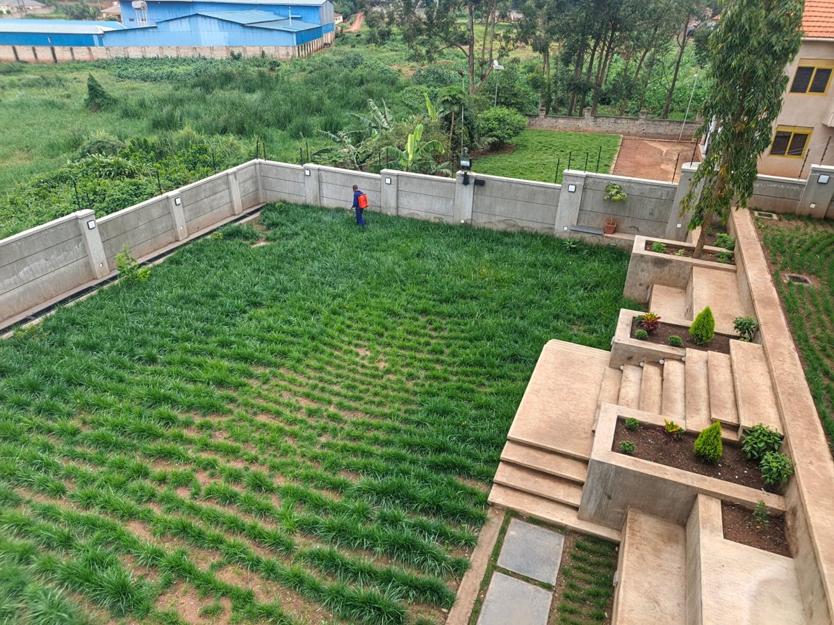 muddycleaning's tweet photo. Mosquitoe Treatment 
0704657690 https://t.co/hw2rRmIGem