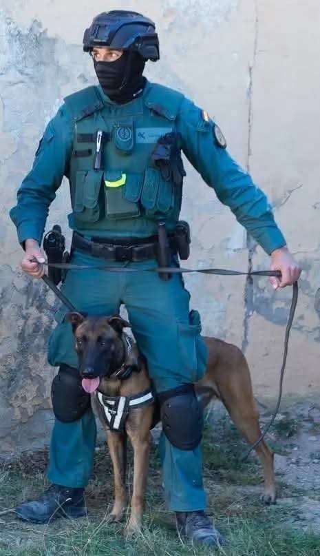 Más q Guardia Civil tweet media