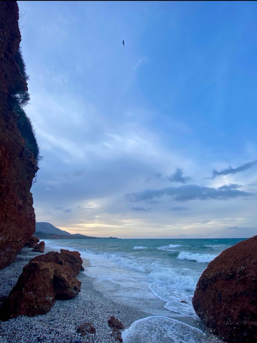 Anima🌹 tweet media