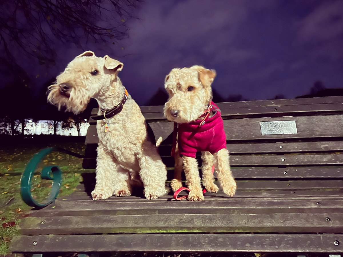 Bertie Lakeland tweet media