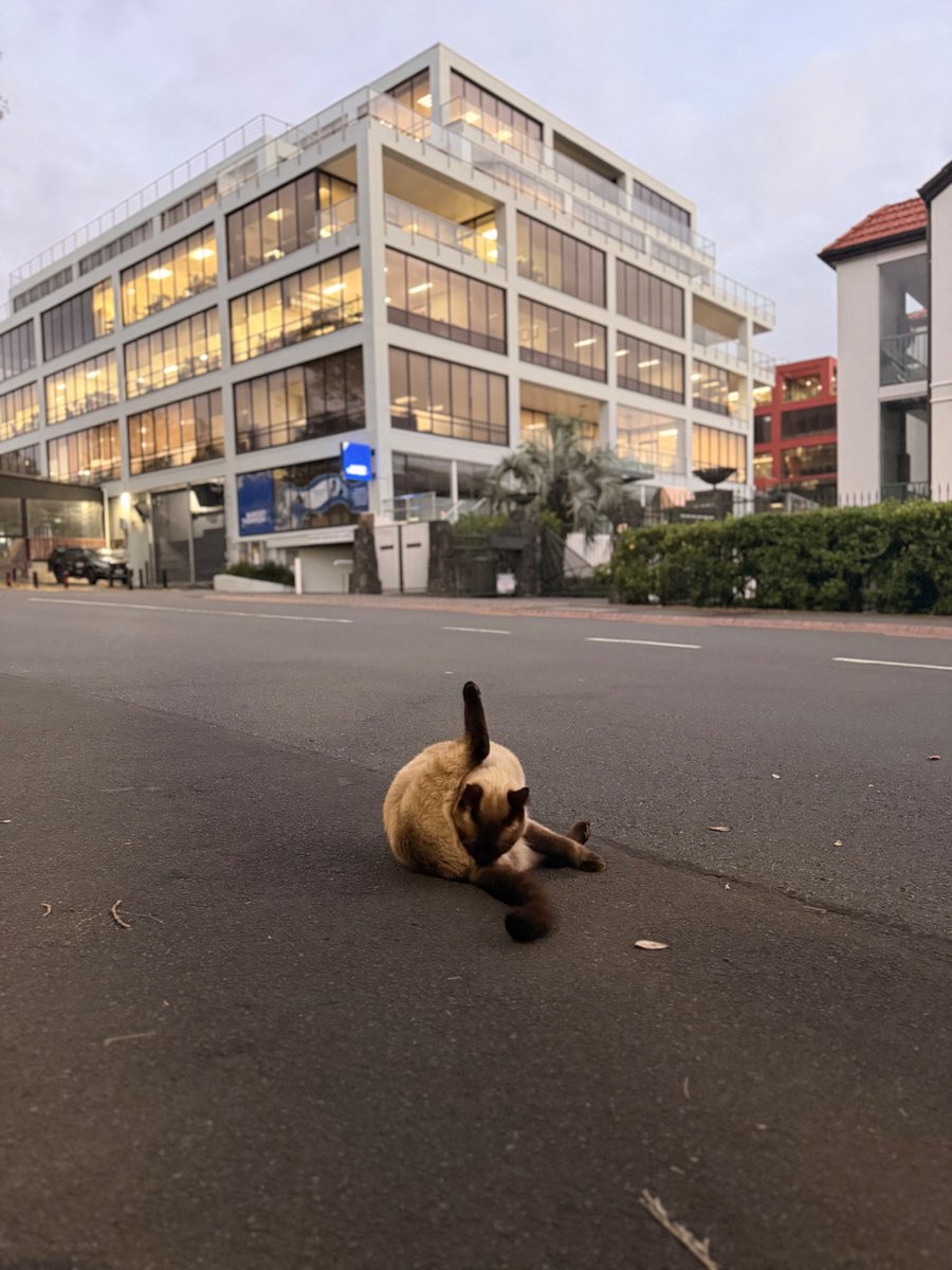 lusia ౨ৎ tweet media