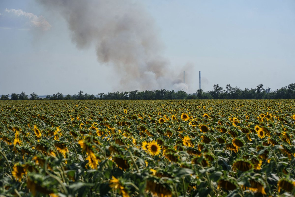 JP Lindsley | Journalist tweet media