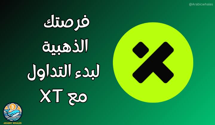 Arabic Whales-حيتان العرب 🐳 tweet media