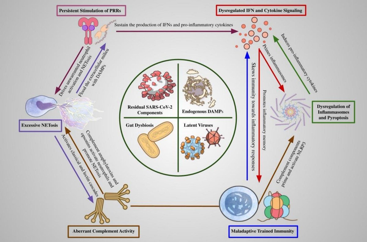 Evelio González Prieto tweet media