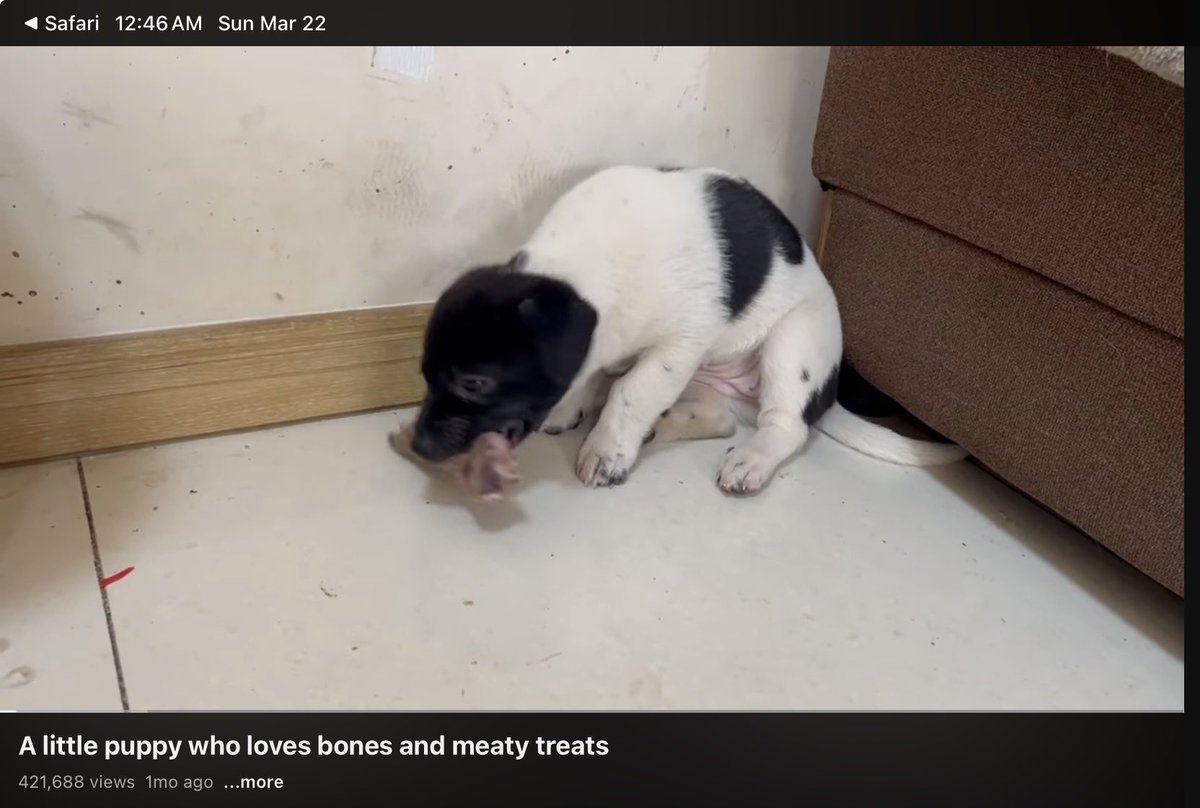 wolfe 🌕 tweet media