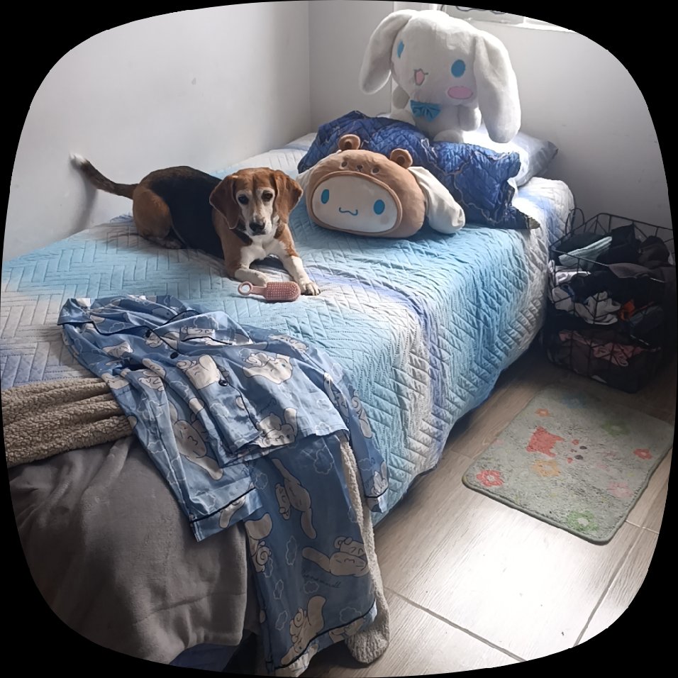 teconvainilla's tweet photo. Mí bebé con mis otros bebés. ❤️‍🩹 https://t.co/Zpk79e16x3