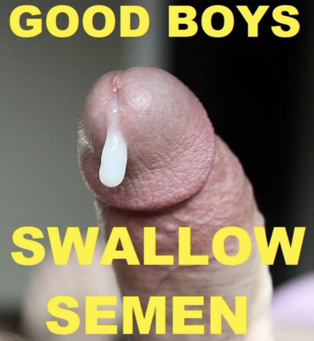 i love bj’s 👅💦🍆 🔞 (159k+ followers) tweet media