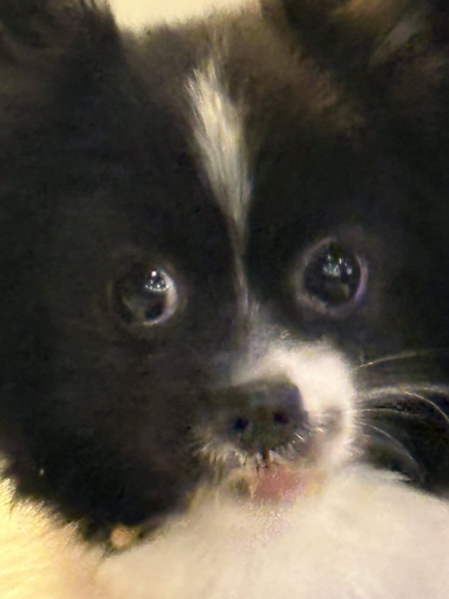 Tara Hall tweet media