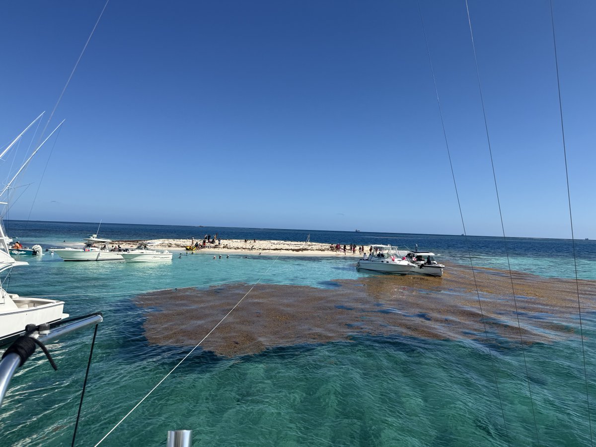 Arrayma Athena tweet media