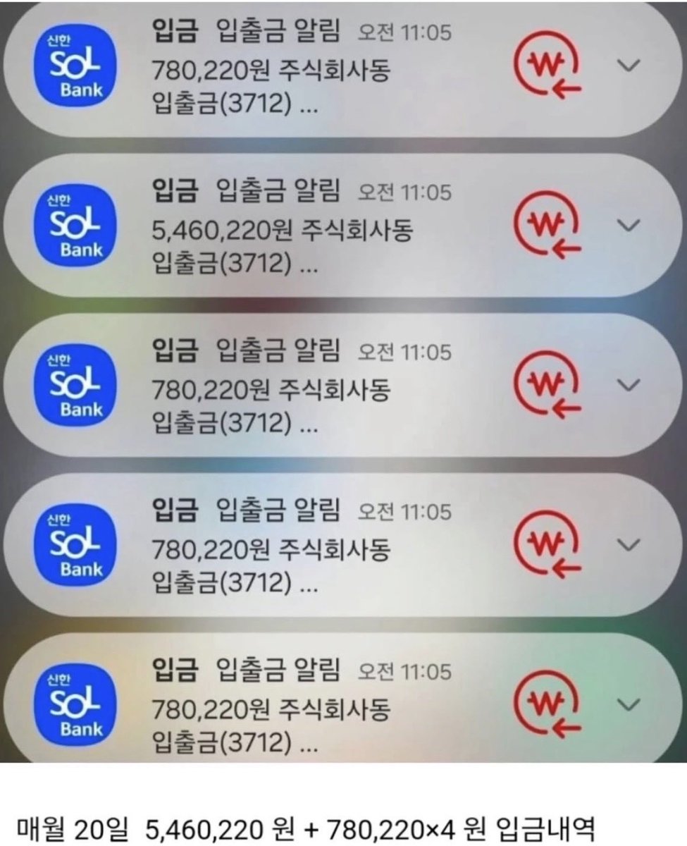 대한고양이😼 tweet media