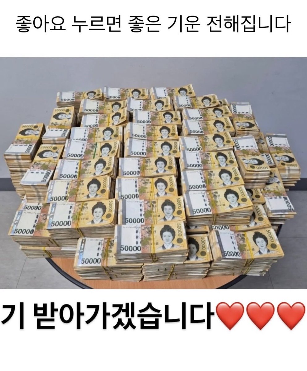 대한고양이😼 tweet media