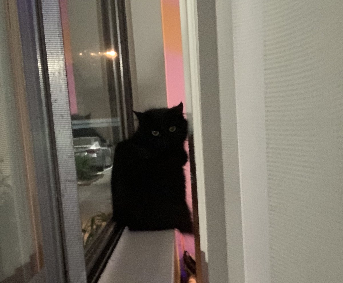 d@kota ( 🐇edtwt ) tweet media