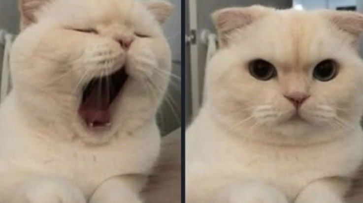 Tüm gün                                       Gece olunca