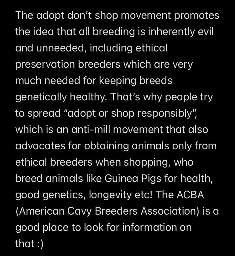 Lamb / Airy 🐑🪶🔜 TFF tweet media