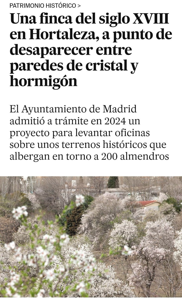 Salvar Hortaleza tweet media