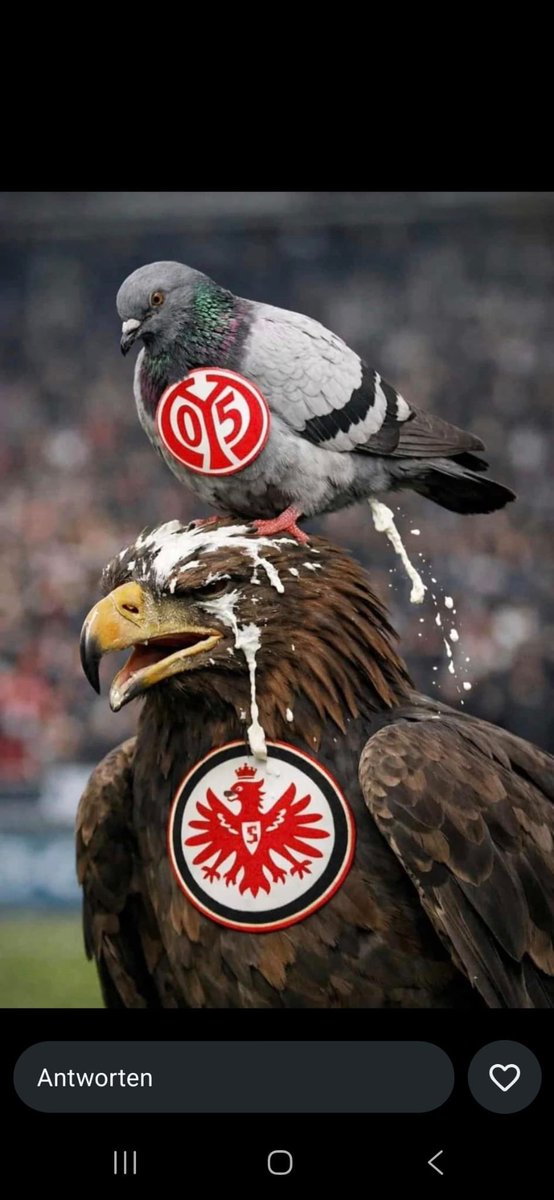 Simon | EuropaRelegationsSZN tweet media