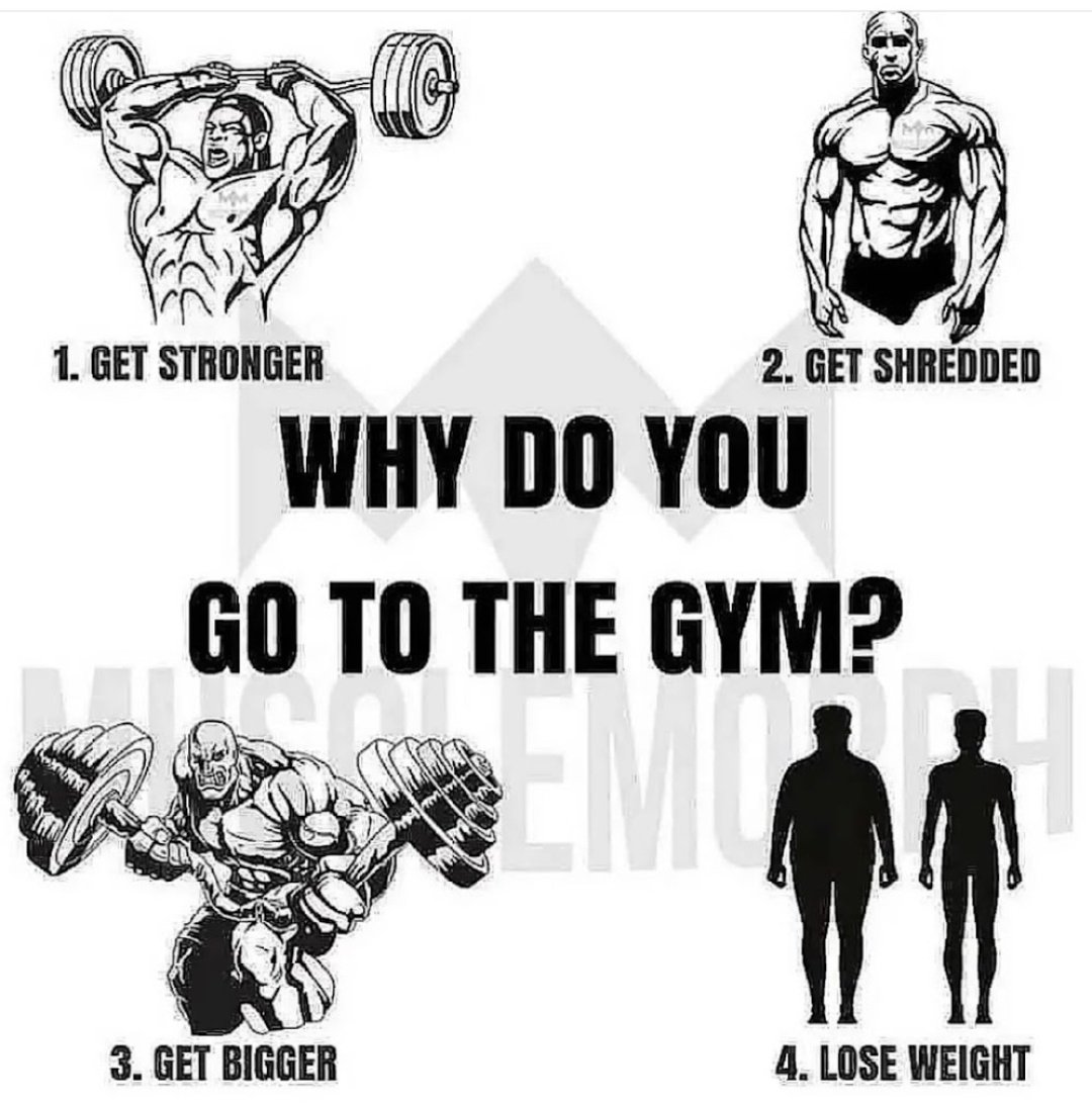 Fitness Wins tweet media