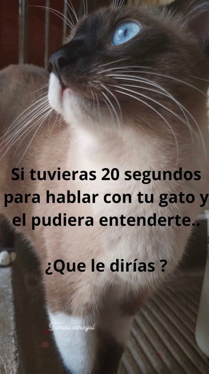 Manu Saenz💛💛 tweet media