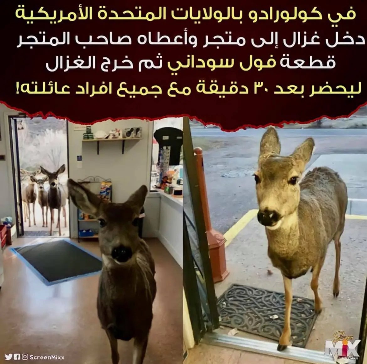 يوسُف 🌙 tweet media